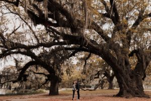 jolene + rhett | Wyn Wiley Photography_1420