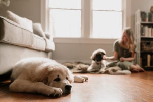 sam + trey puppies | Wyn Wiley Photography_1708